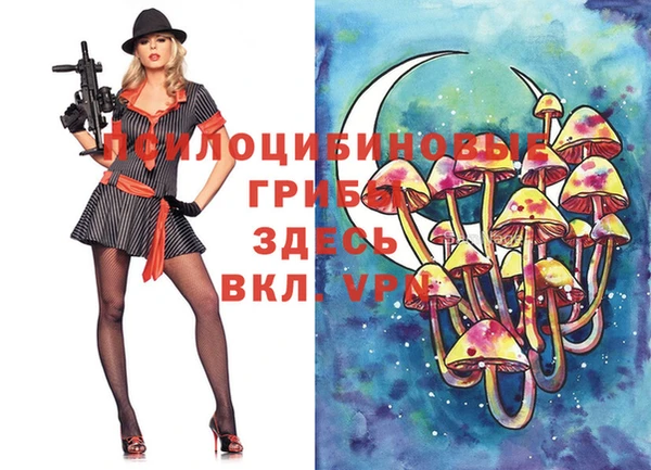 apvp Абинск