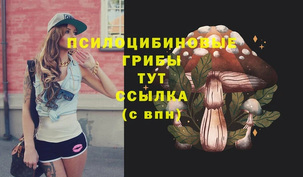 эйфоретик Абаза