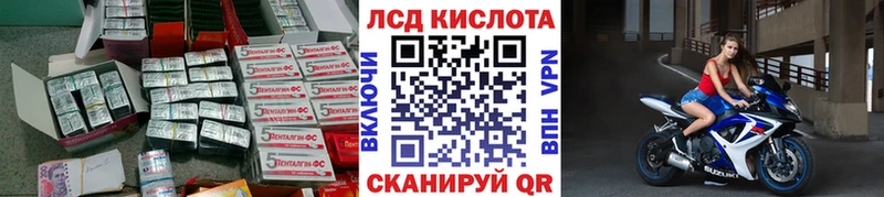где найти наркотики  Пудож  Лсд 25 экстази ecstasy 