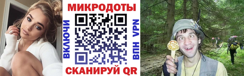 Псилоцибиновые грибы Psilocybe  где найти   мега ССЫЛКА  Пудож 